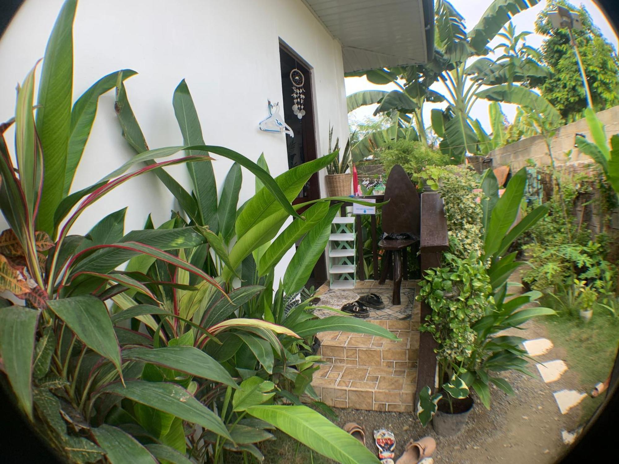 Jml Homestay 卢纳将军城 外观 照片